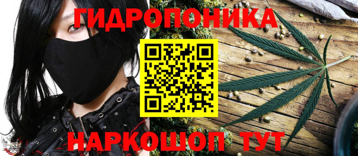 Бошки Шишки White Widow  Конопля White Widow  Бошки Шишки White Widow  Белогорск  Вход с VPN 